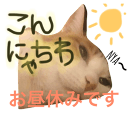 35371358