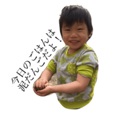 35375220