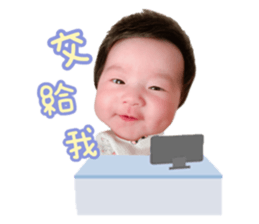 353763979