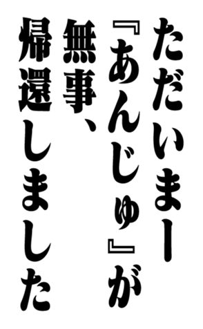 353774240