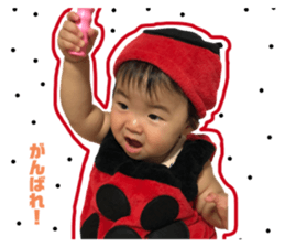 353787117