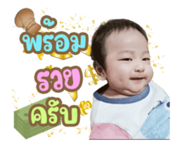353800494