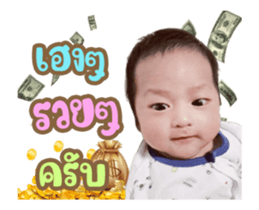 353800501