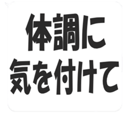 353803213