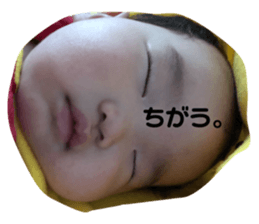 353804156