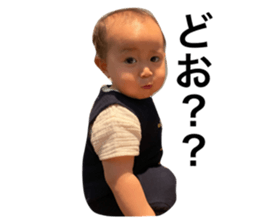 353811270