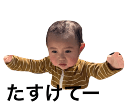 353811274