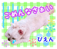 353818578
