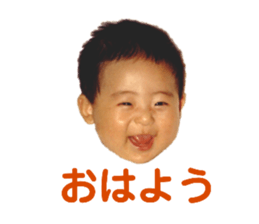 353827996