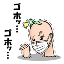 3538337