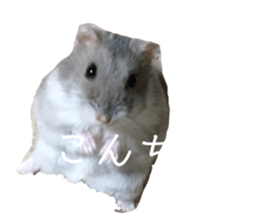 353833830