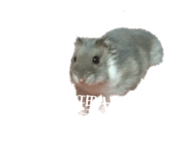 353833835