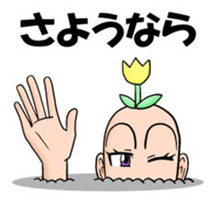 3538340