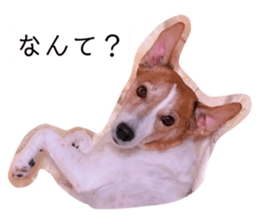 353834358