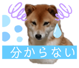 353836098