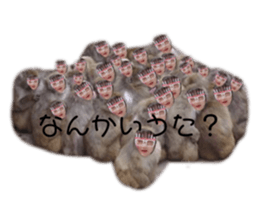 353839867