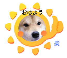 353871496