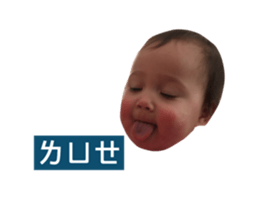 35394931