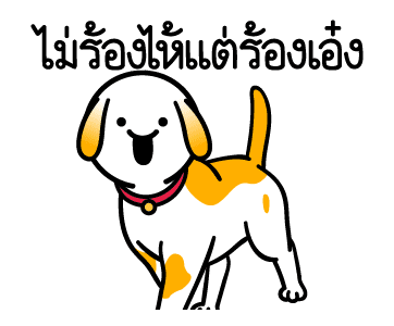 ลายที่ 13