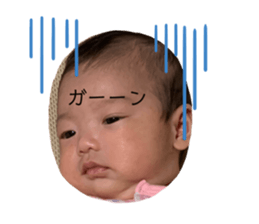 354004289