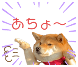 354024364
