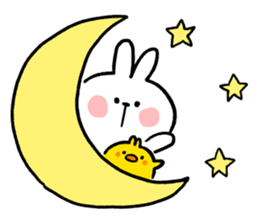 Spoiled Rabbit "Everyday" รูปที่ 4