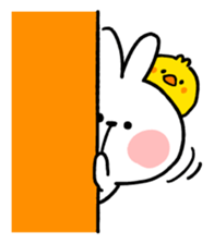 Spoiled Rabbit "Everyday" รูปที่ 5