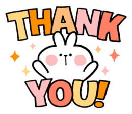 ลายที่ 17