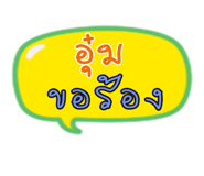 35405204