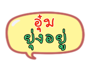 35405208