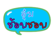 35405211