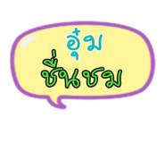 35405224