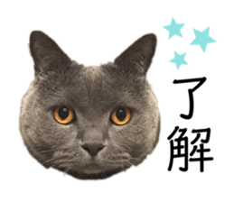354122527