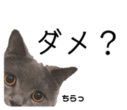 354122536
