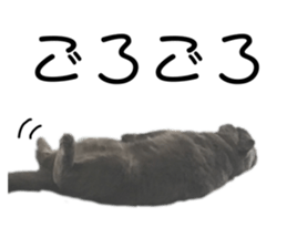 354122559