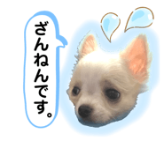 354157695