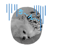 354290344