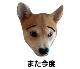 354337139