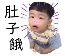 354343818