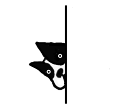3543481
