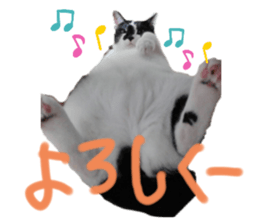 354352016