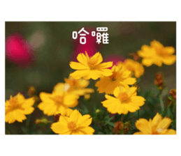 354357986