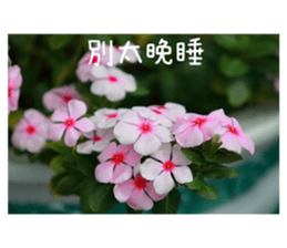 354357988
