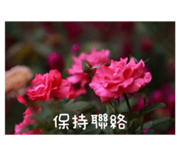 354357989