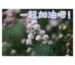 354358002