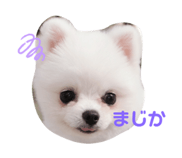 354377234