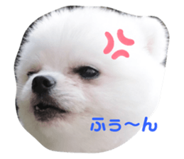 354377235
