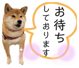 354380626