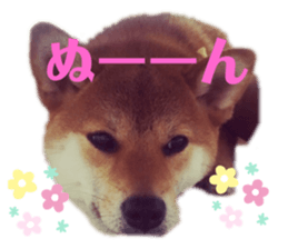 354380628