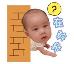354381286
